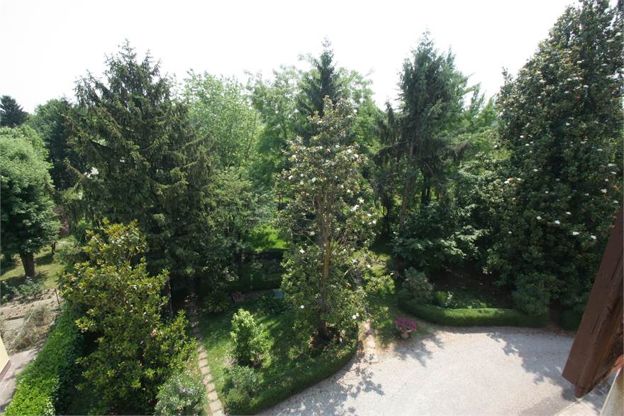 VISTA DALLA FINESTRA