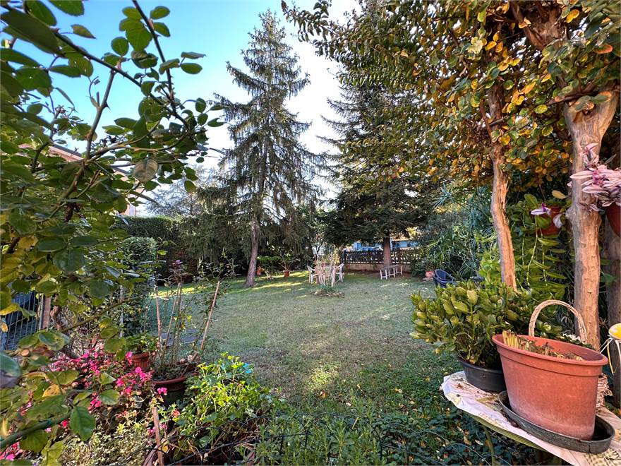 GIARDINO